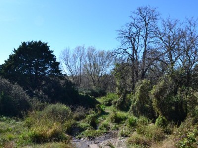 Terreno en Tanti