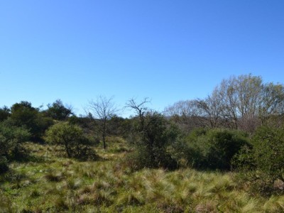 Terreno en Tanti