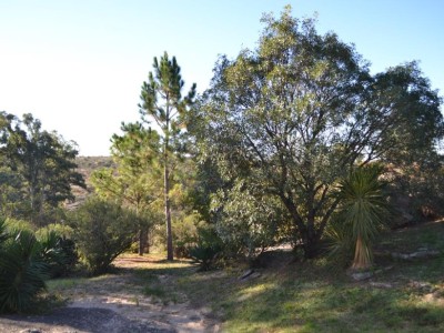 Terreno en barrio Chacras de la Primavera 